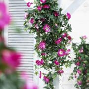 Petunia  lila - Konstgjord växt