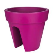 Pure® Round Flower Bridge fuchsia