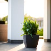 Pure® Soft Square med hjul antracit