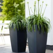 Pure® Soft Square High med hjul antracit