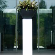 Pure® Swing fuchsia