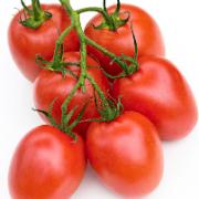 Tomat 'Roma' Tomat 'Roma'