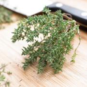 Kryddtimjan eller trädgårdstimjan