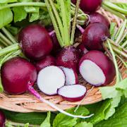 Rädisor ‘Viola’