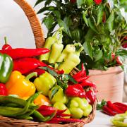 Paprika och spanskpeppar Mix ‘Hot & Sweet’