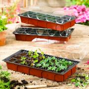 Sålådor med bricka och lock