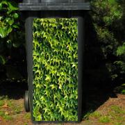 Dekorationssticker för sopcontainer - Murgröna