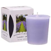 Doftljus 'Lavender Lane'