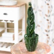 Flätad pinnlilja inklusive prydnadskruka