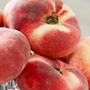 Platt persika 'Donut'