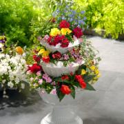 3 planteringskrukor + en påse frö