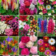 Rabatt 'Villa Villerkulla'