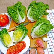 Bindsallat ‘Little Gem’