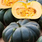 Myskpumpa ‘Musquée de Provence’