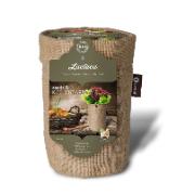 Ekologisk plocksallat 'Red Bowl' odlingsset