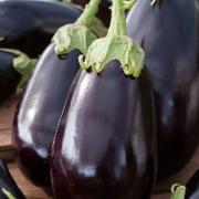 Aubergine 'Halflange Violette'