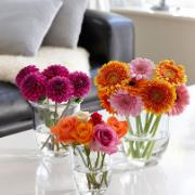 Rob Verlinden Vaser - set med 3