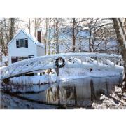 Trädgårdsmålning – Bro till hus