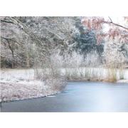 Trädgårdsmålning – Vinterdamm