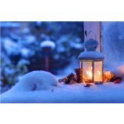 Trädgårdsmålning – Lykta i snön
