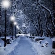 Trädgårdsmålning – Vinterstig