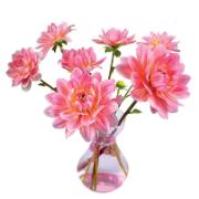 Flat Flowers fönsterstickers 'Dahlia'