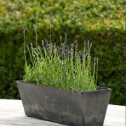 Artstone Ella balkonglåda - Svart