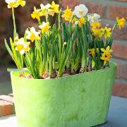 Artstone Claire balkonglåda – Lime Artstone Claire balkonglåda – Lime