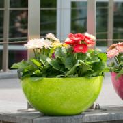 Universal Roto planteringsskål – Lime