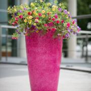 Universal Roto vas – Rosa