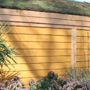 Robs bets för trädgården - Orange