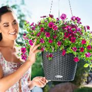 NIDO Cottage® - granit