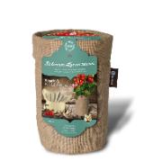 Ekologiska tomater 'Cerise' odlingsset