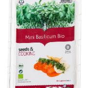 Ekologisk basilika odlingsset