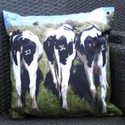 Trädgårdskudde - Kor
