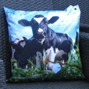 Trädgårdskudde - Ko på en äng