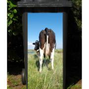 Dekorationssticker för sopcontainer - Ko i gräset