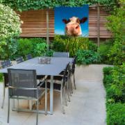 Trädgårdsmålning - Komule