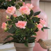 Mica® Rosa rosenbuske i kruka Stan - Konstväxt