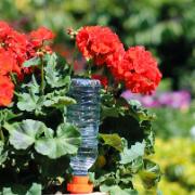 Hozelock Aquasolo® - Keramisk bevattningskon