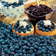 Amerikanska blåbär i 3 sorter