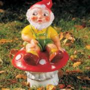 Trädgårdstomte på svamp