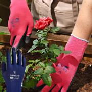 Trädgårdshandskar