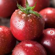 Körsbärstomat 'Black Cherry’