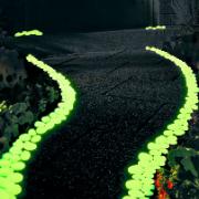 Kiselstenar  'Glow in the Dark'