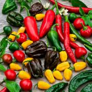 Kombinationserbjudande:
Spansk peppar