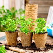 Woodee® odlingskrukor