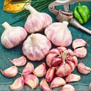 Rosa vitlök 'Rose de Lautrec'