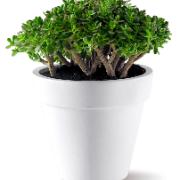 Elho® Pure Round - vit