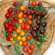 Körsbärstomater 'Cherry' Mix